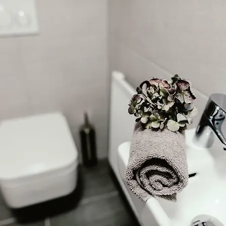 Luxury Zelny Trh *