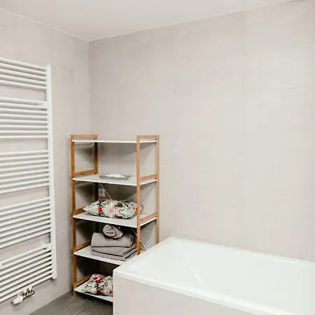 Apartment Luxury Zelny Trh *