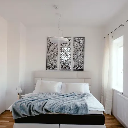Luxury Zelny Trh Apartment