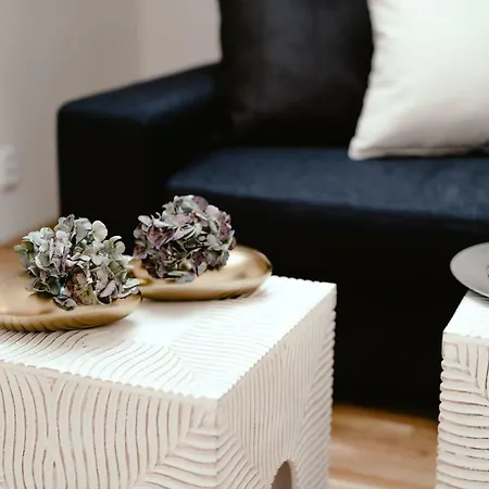 Luxury Zelny Trh Apartment