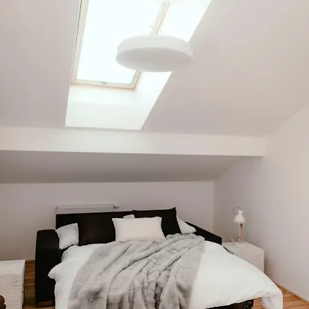 Luxury Zelny Trh Apartament Brno